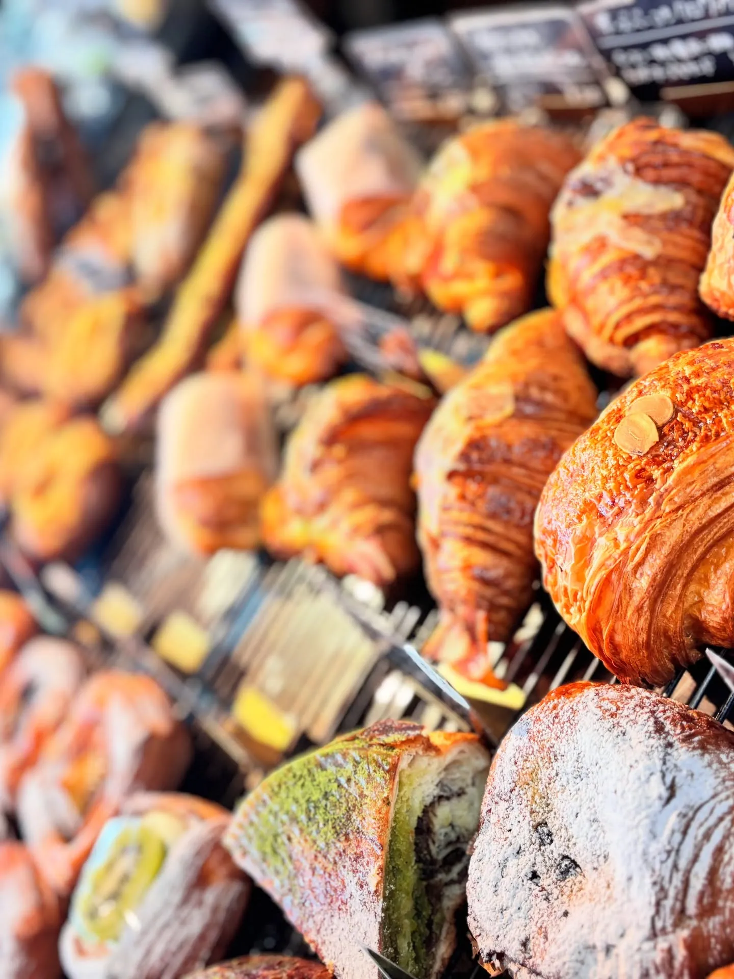 夏のスタンプラリー開催中